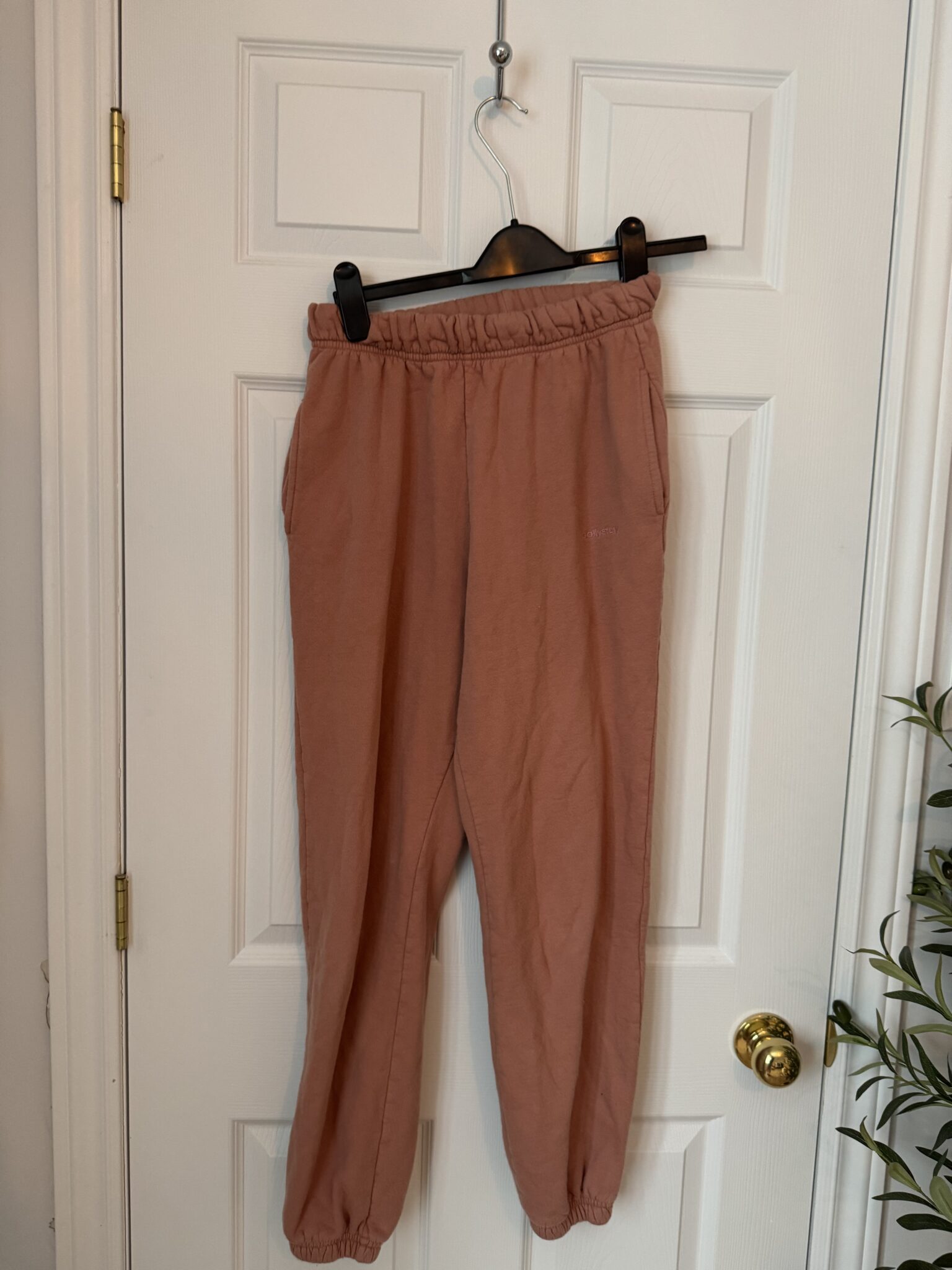 Image for Ensemble Jogger | Daily Story