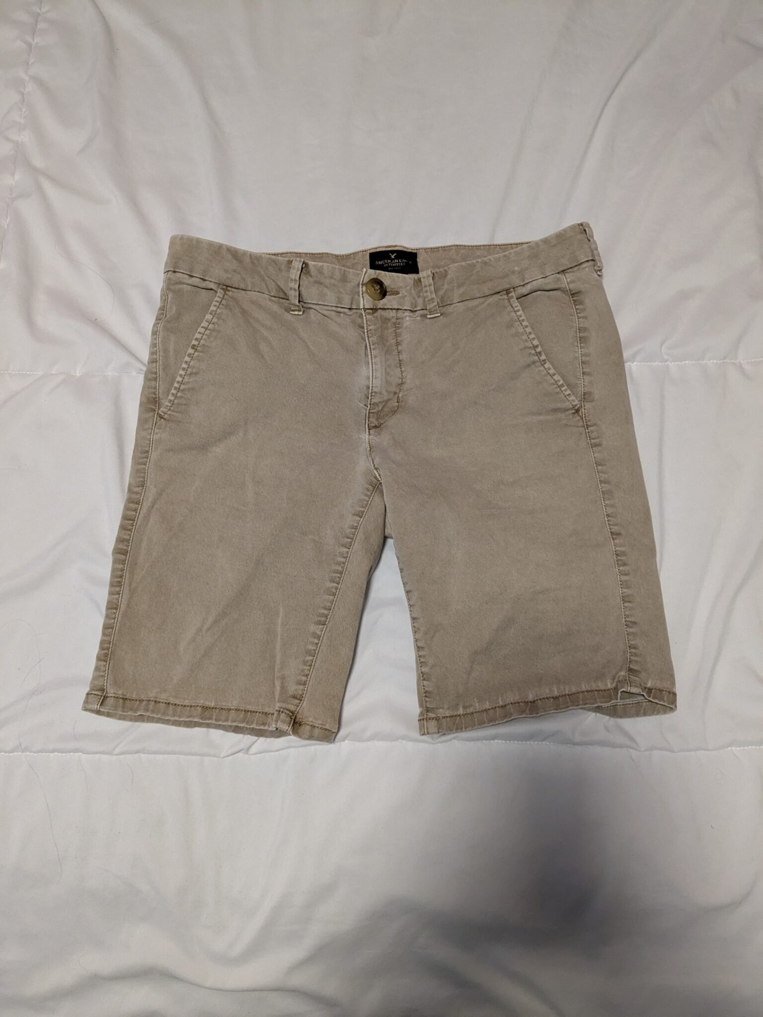 Featured image for Bermuda American Eagle
