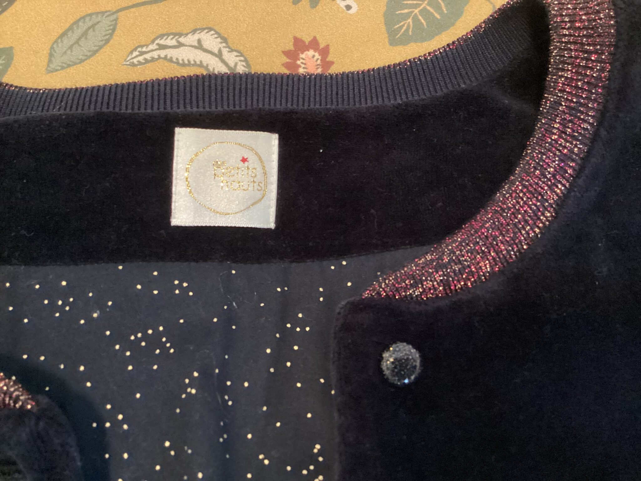 Featured image for Velvet jacket by Des Petits Hauts