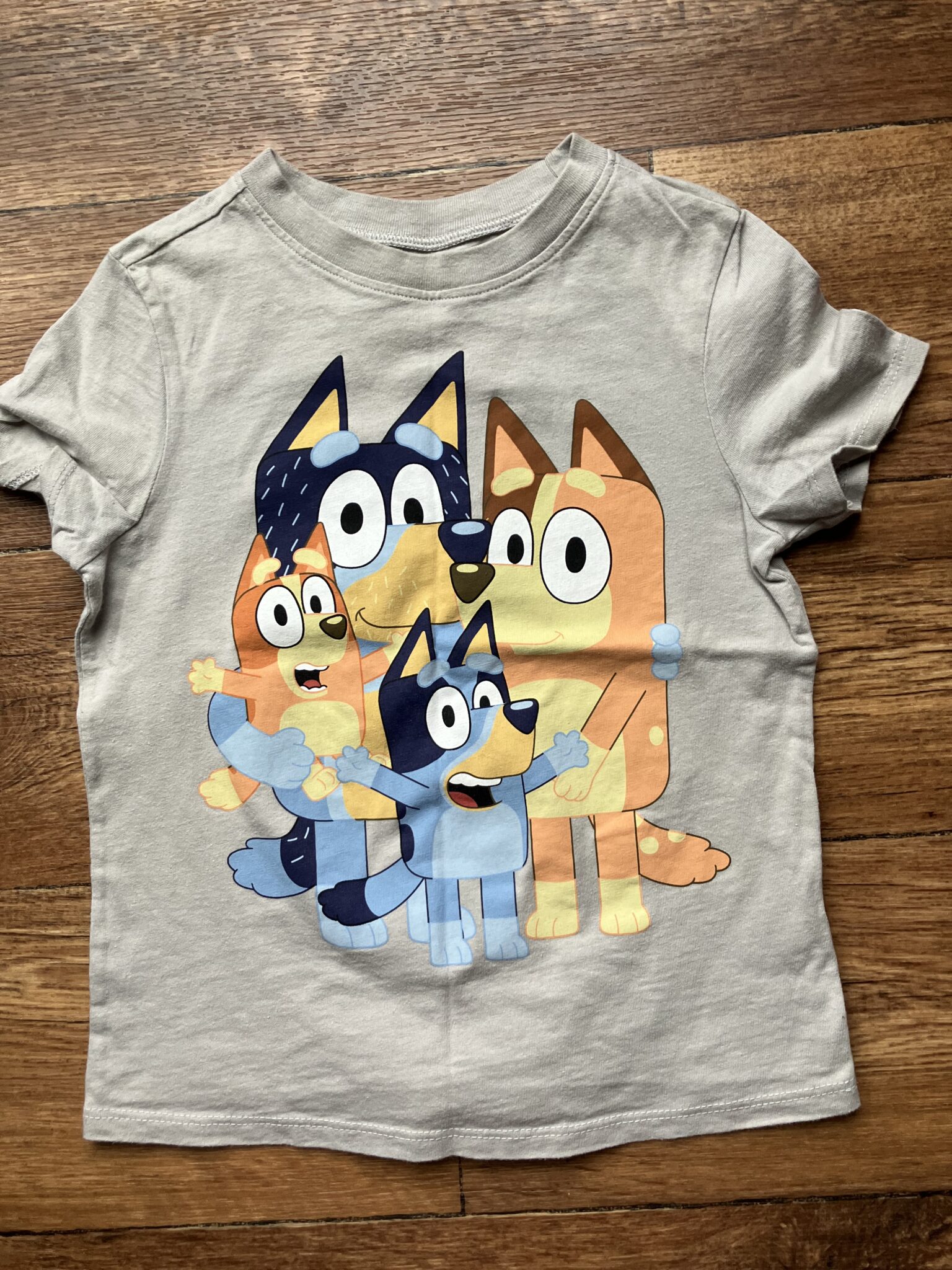 Featured image for T-shirt Bluey 4T