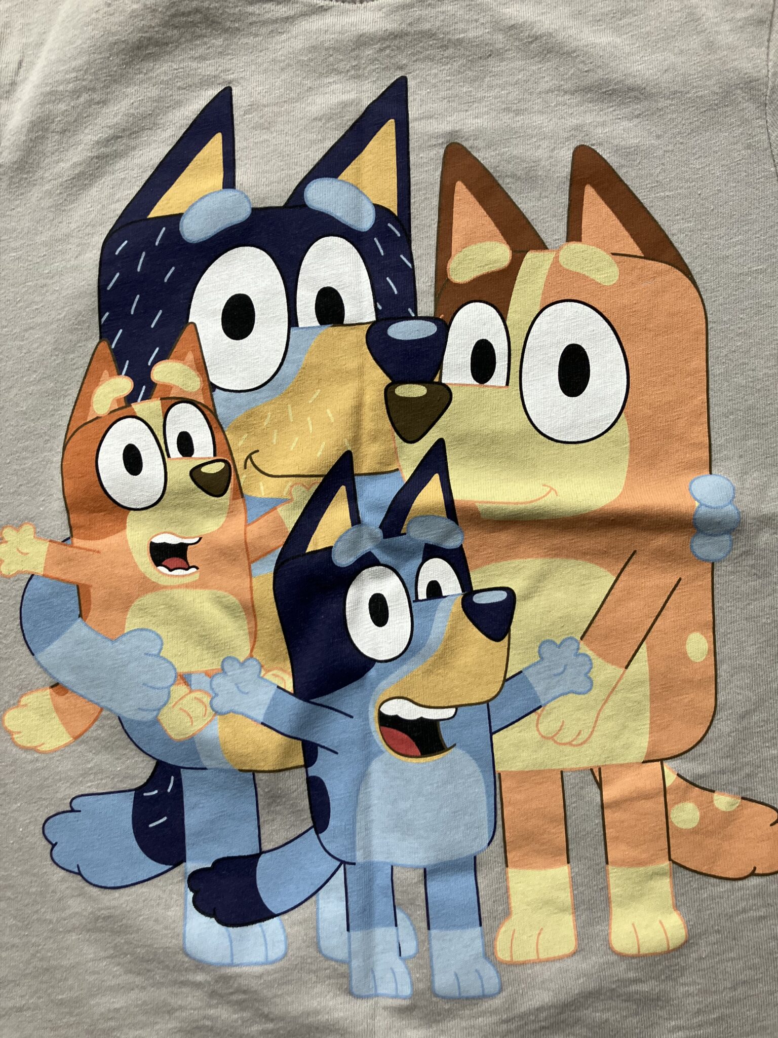 Image for T-shirt Bluey 4T