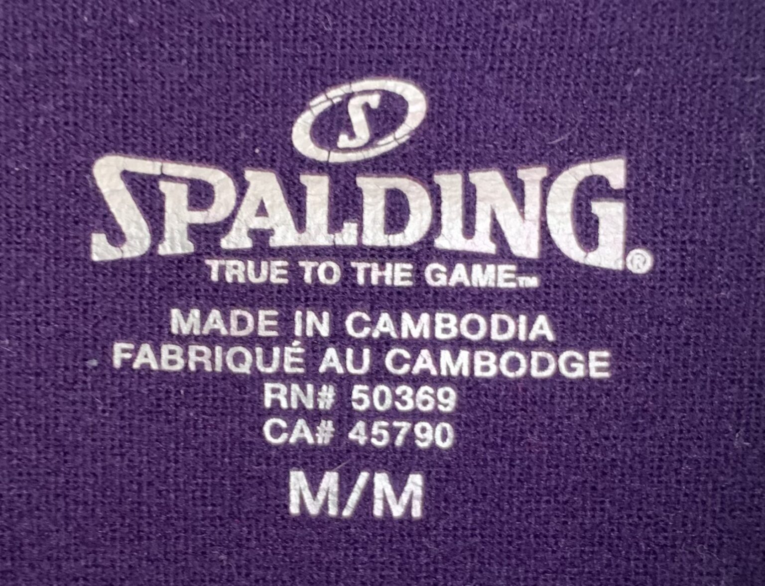 Image for Chandail sport à capuchon