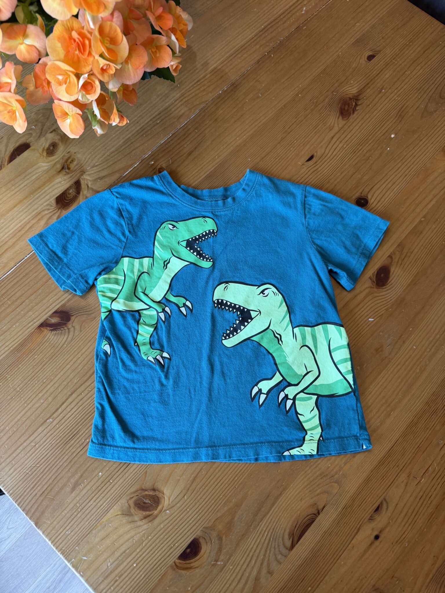 Featured image for Tshirt turquoise avec dinosaures