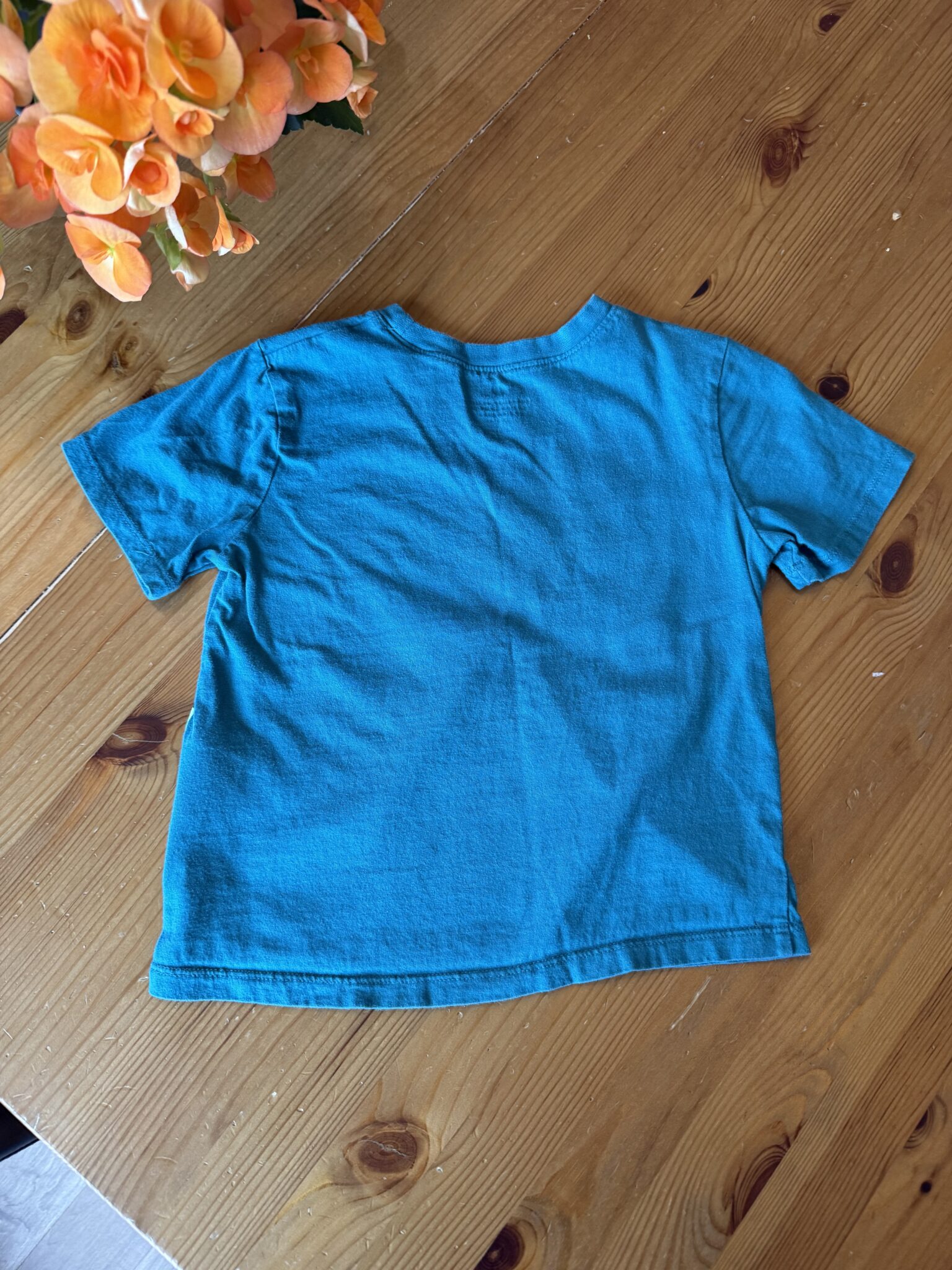 Image for Tshirt turquoise avec dinosaures