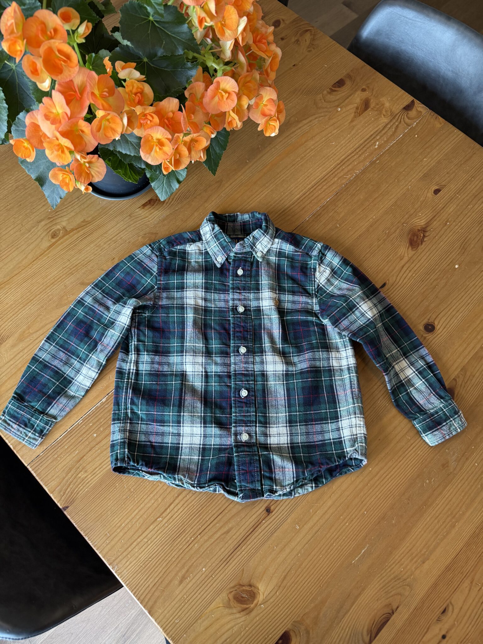 Featured image for Chemise à carreaux verte