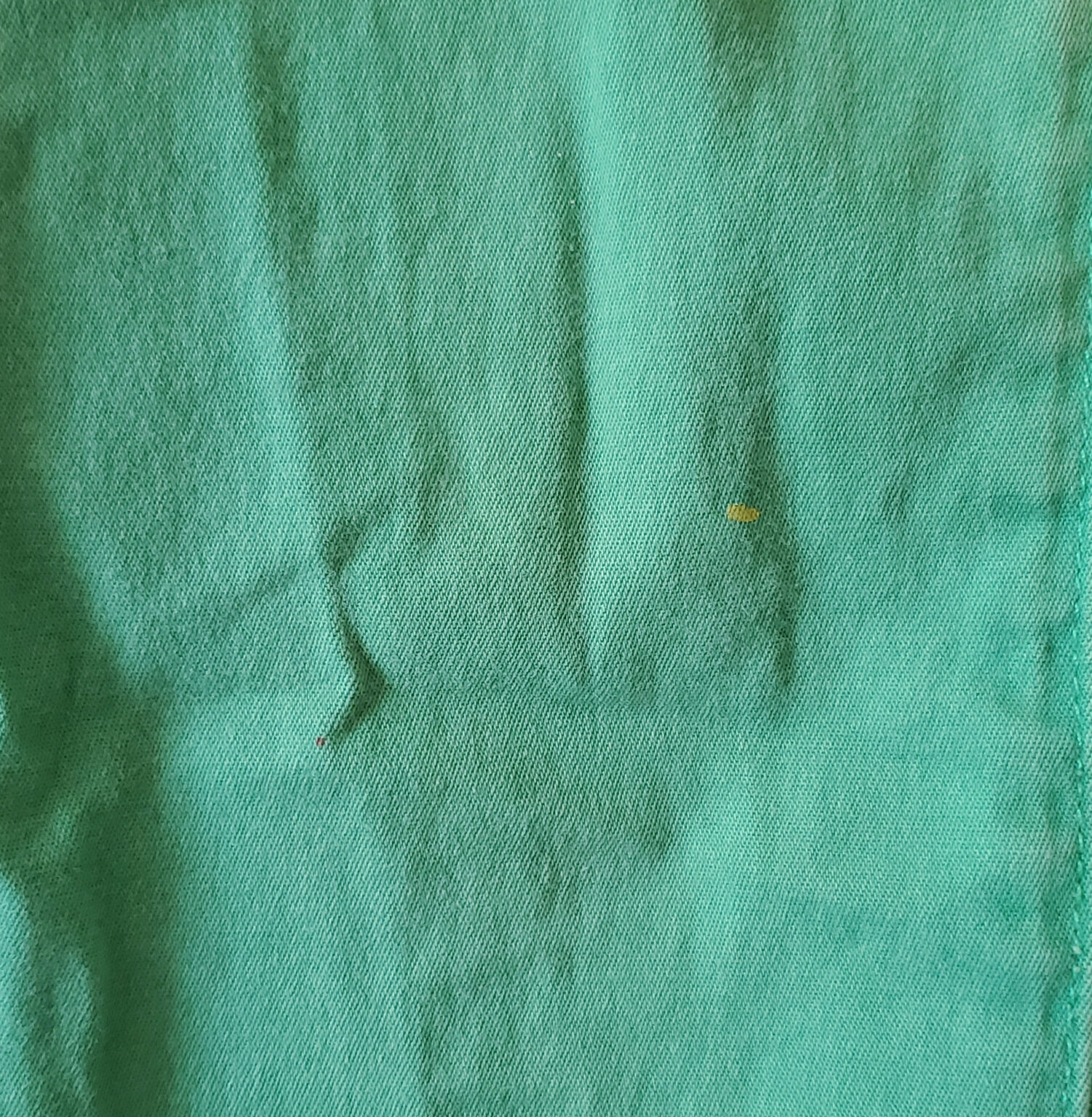 Image for Pantalon vert skinny