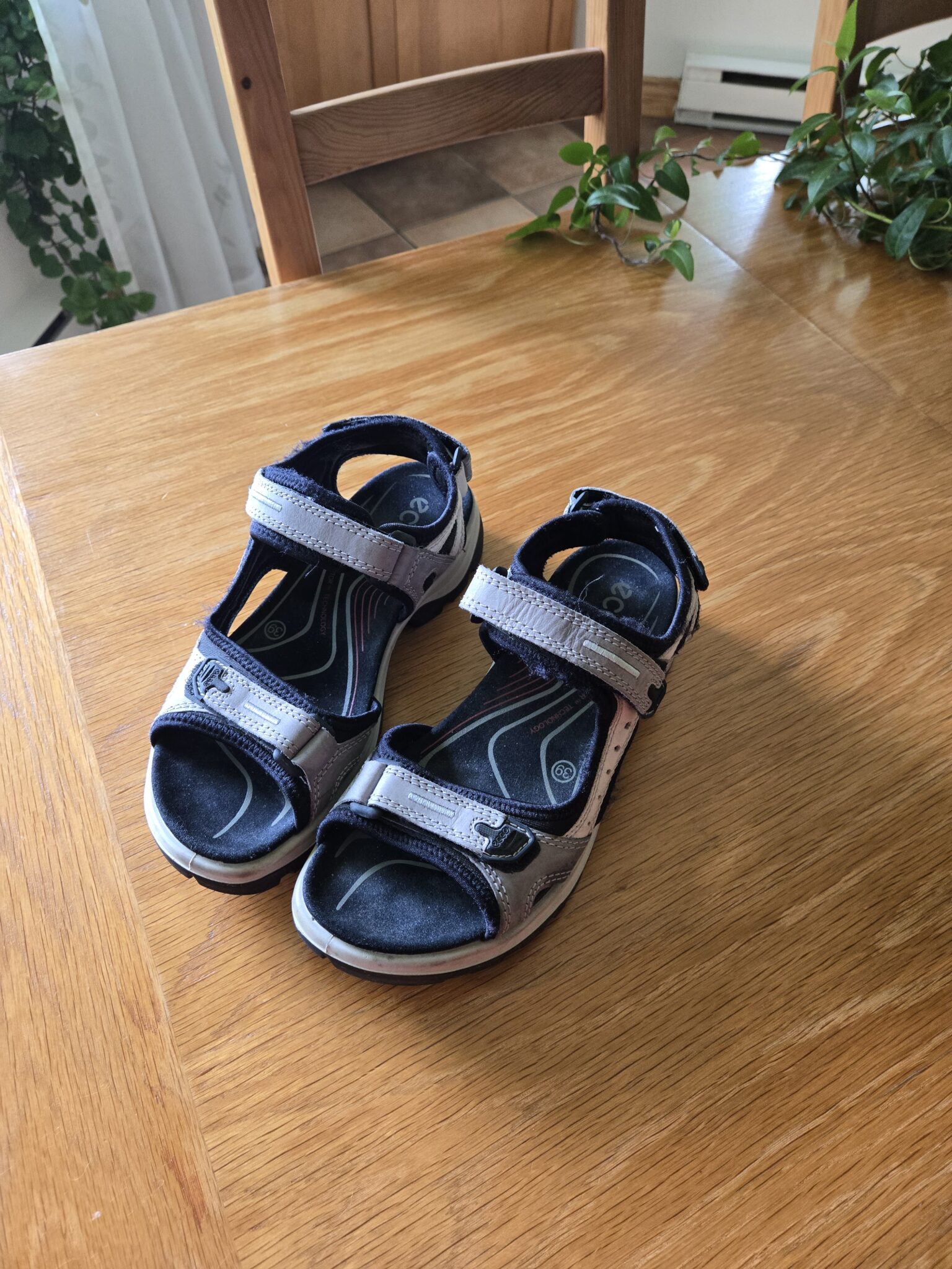 Featured image for ecco sandals