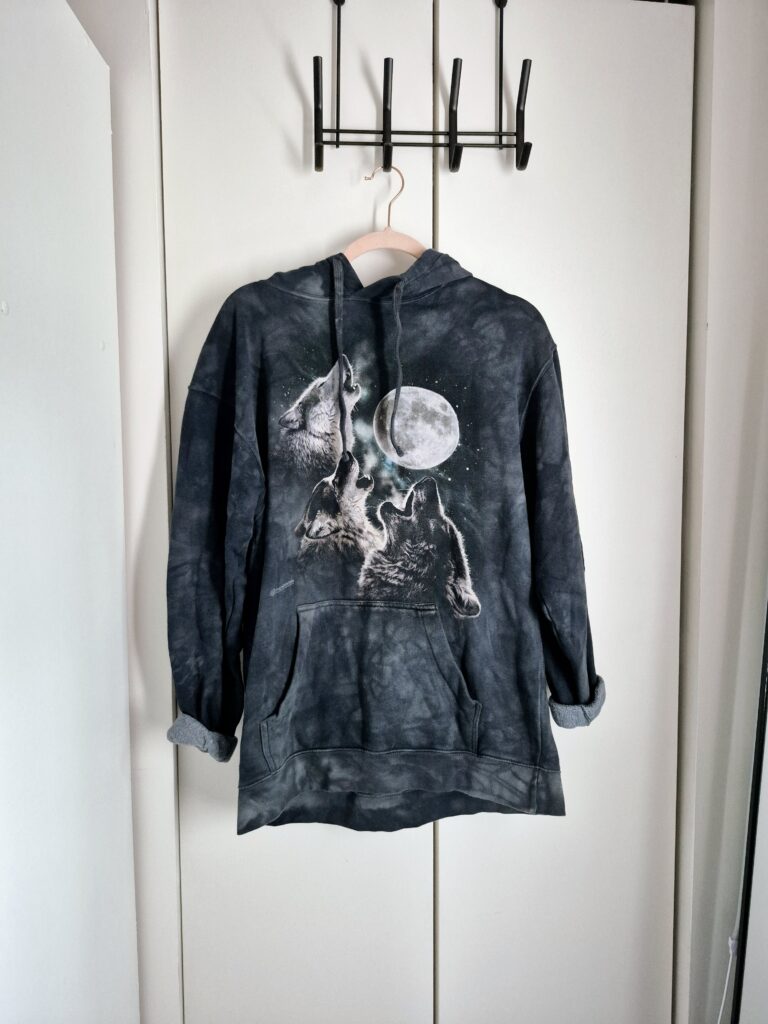 Featured image for Hoodie The Mountain Medium