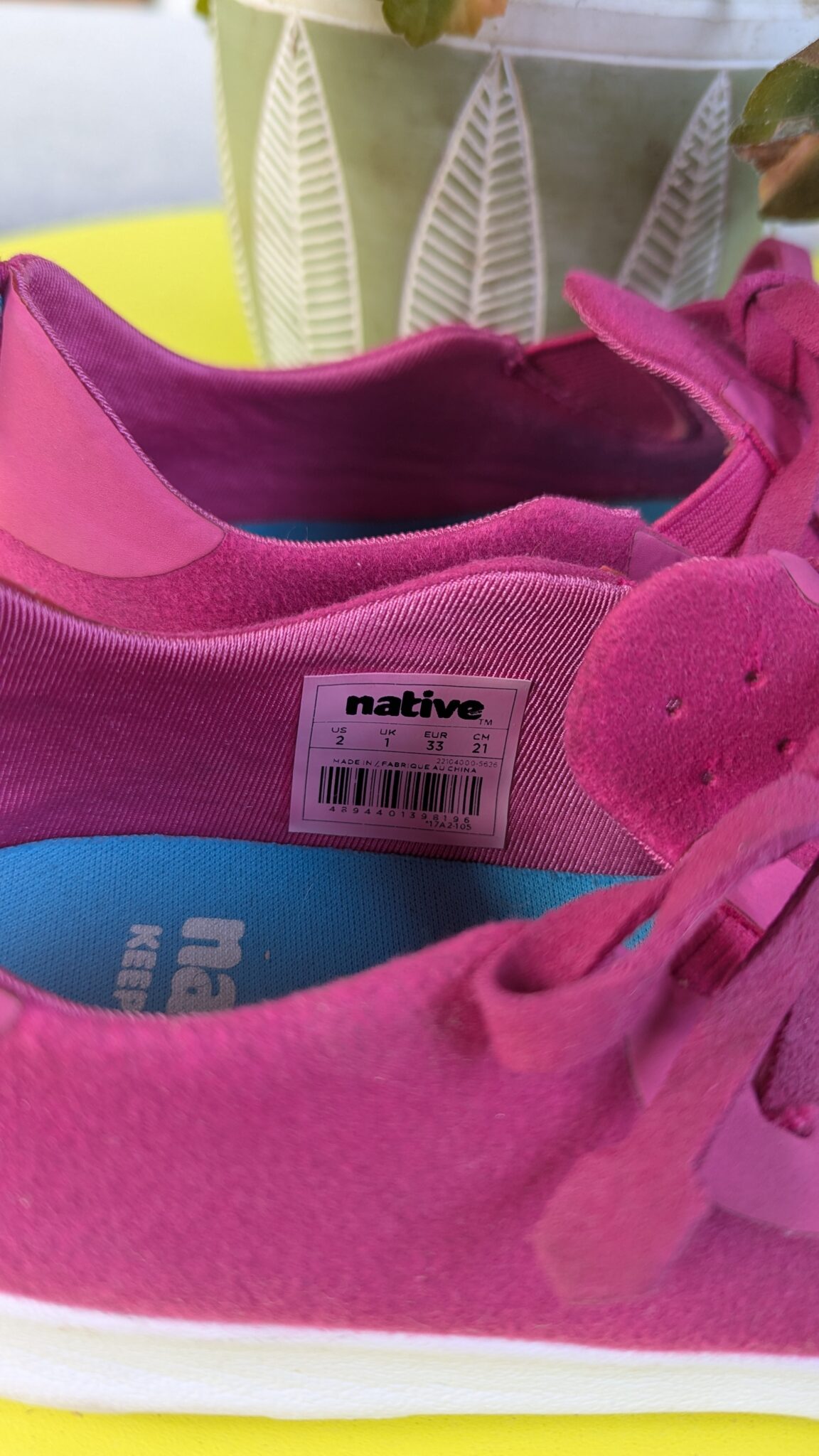Image for Native