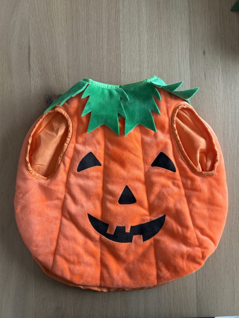 Featured image for Pumpkin disguise, 1-2T