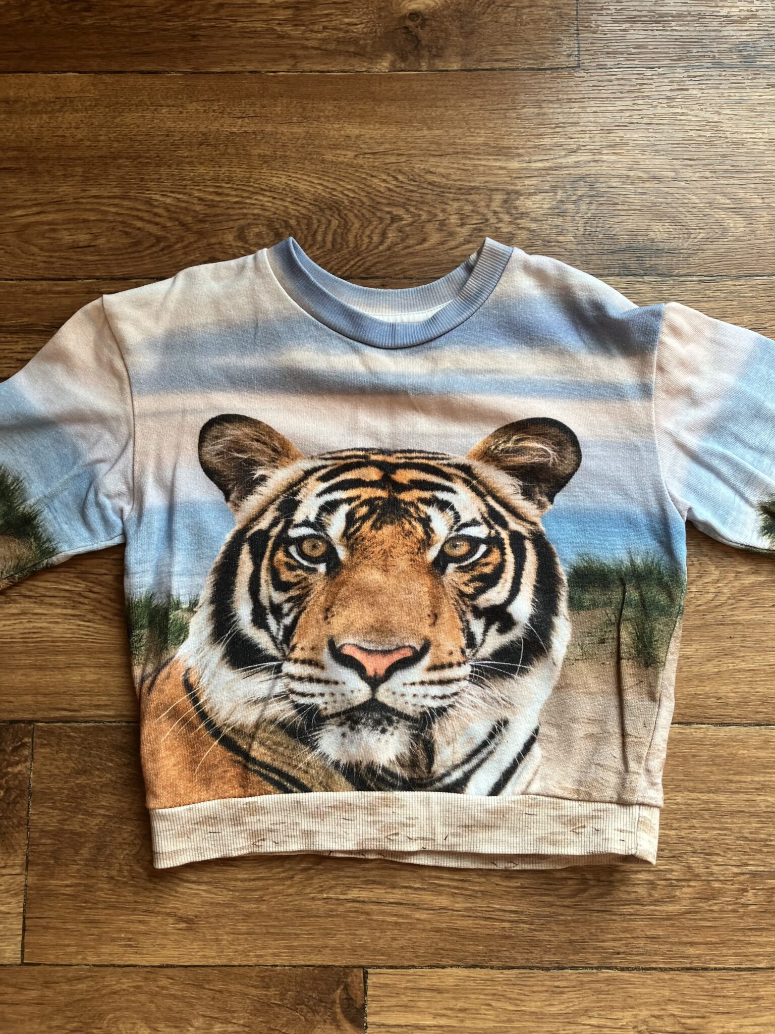 Featured image for Chandail H&M 2-4A