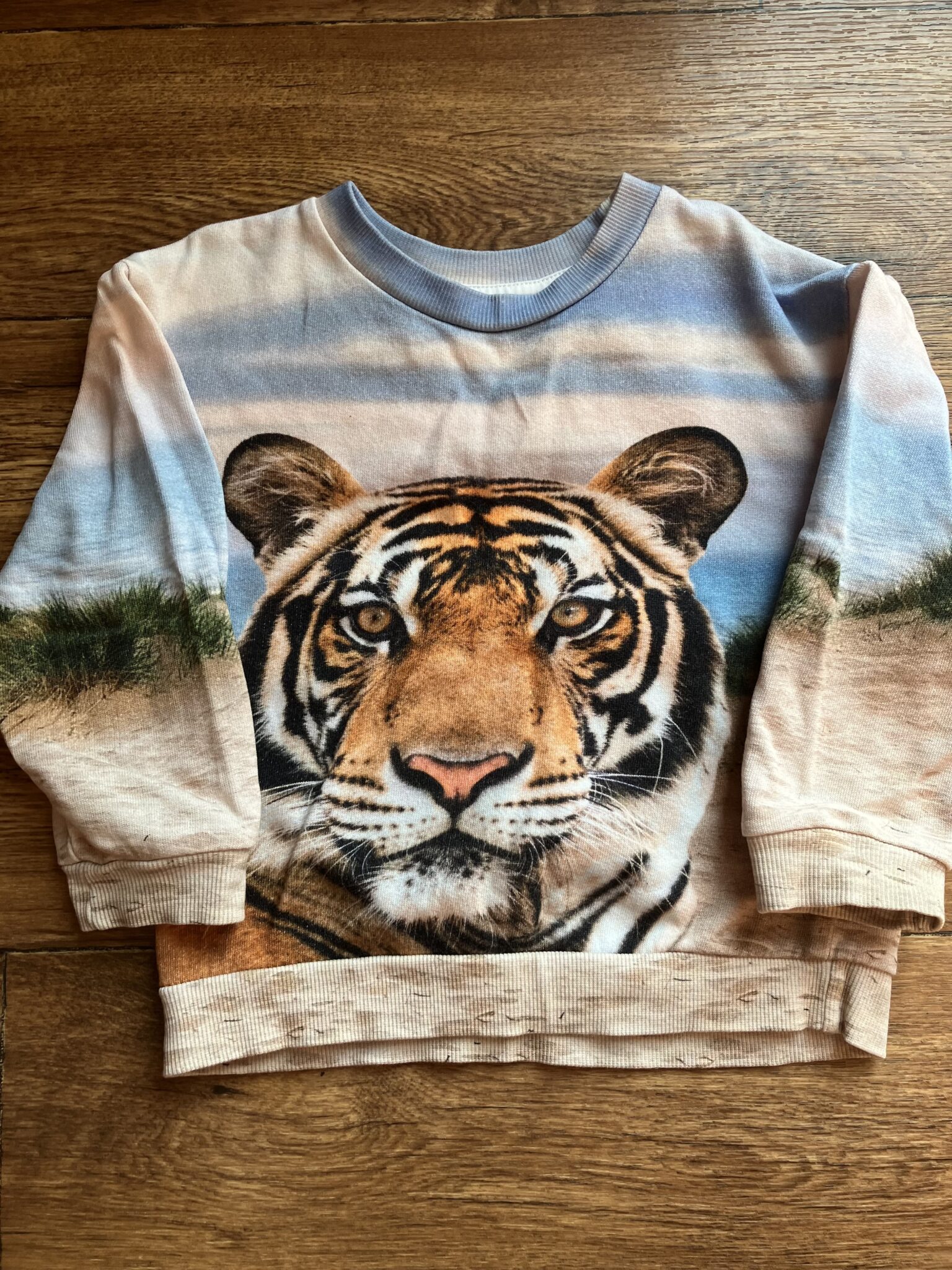 Image for Chandail H&M 2-4A