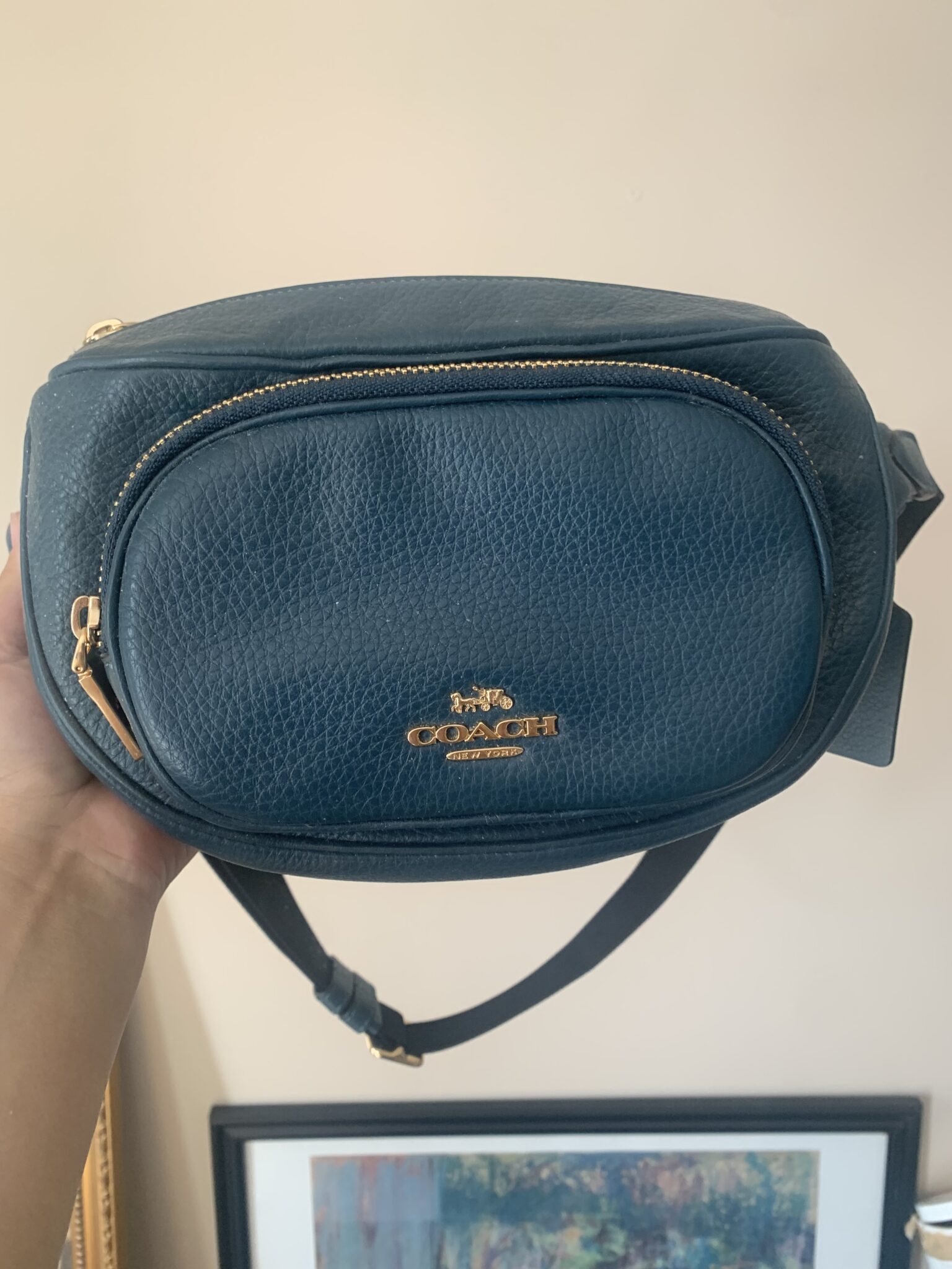 Featured image for Coach fanny pack