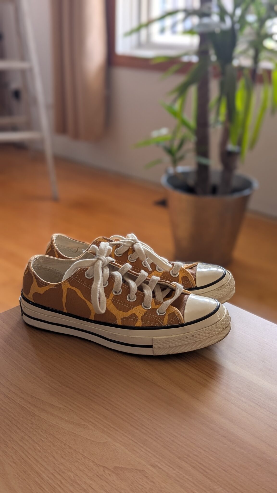 Image for Converse girafe 🦒
