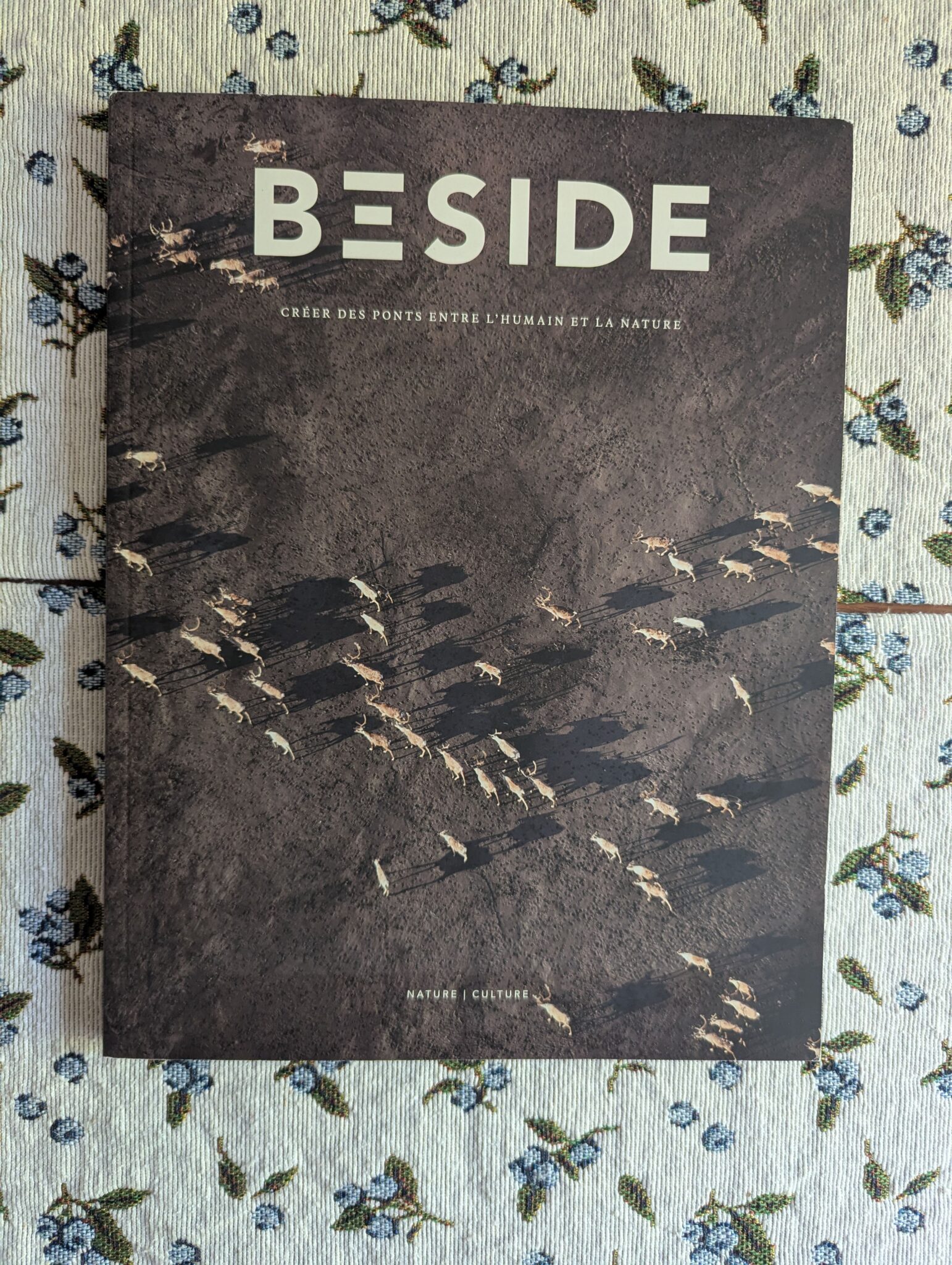 Featured image for Magazine Beside 04