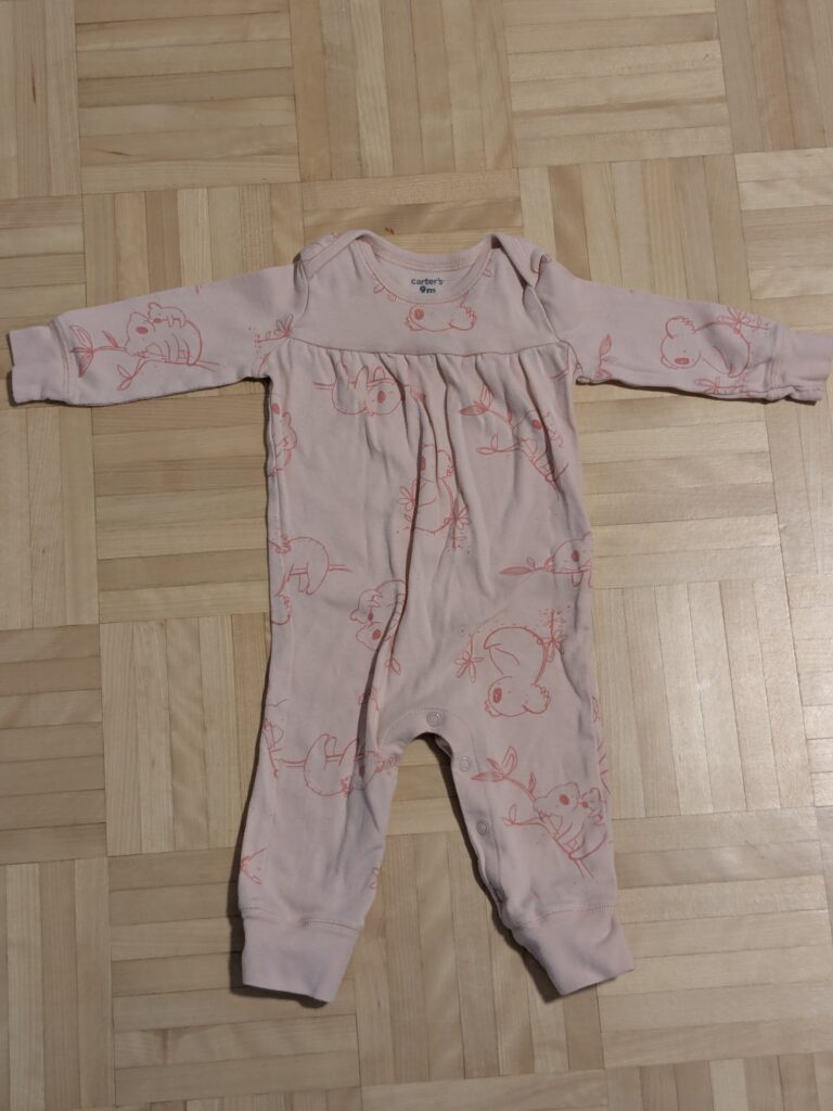 Featured image for Pyjama Koala Carter's