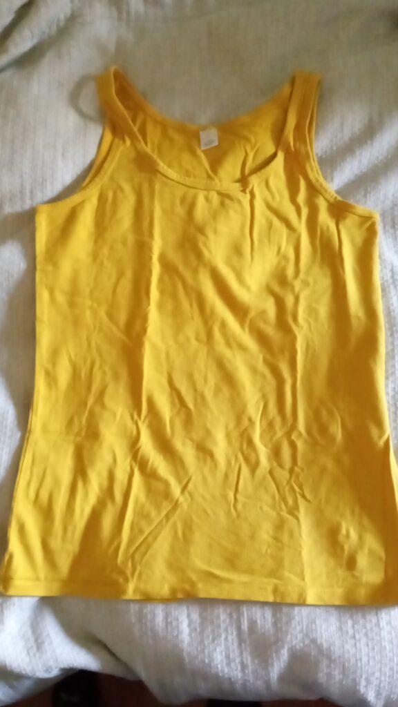 Featured image for Camisole