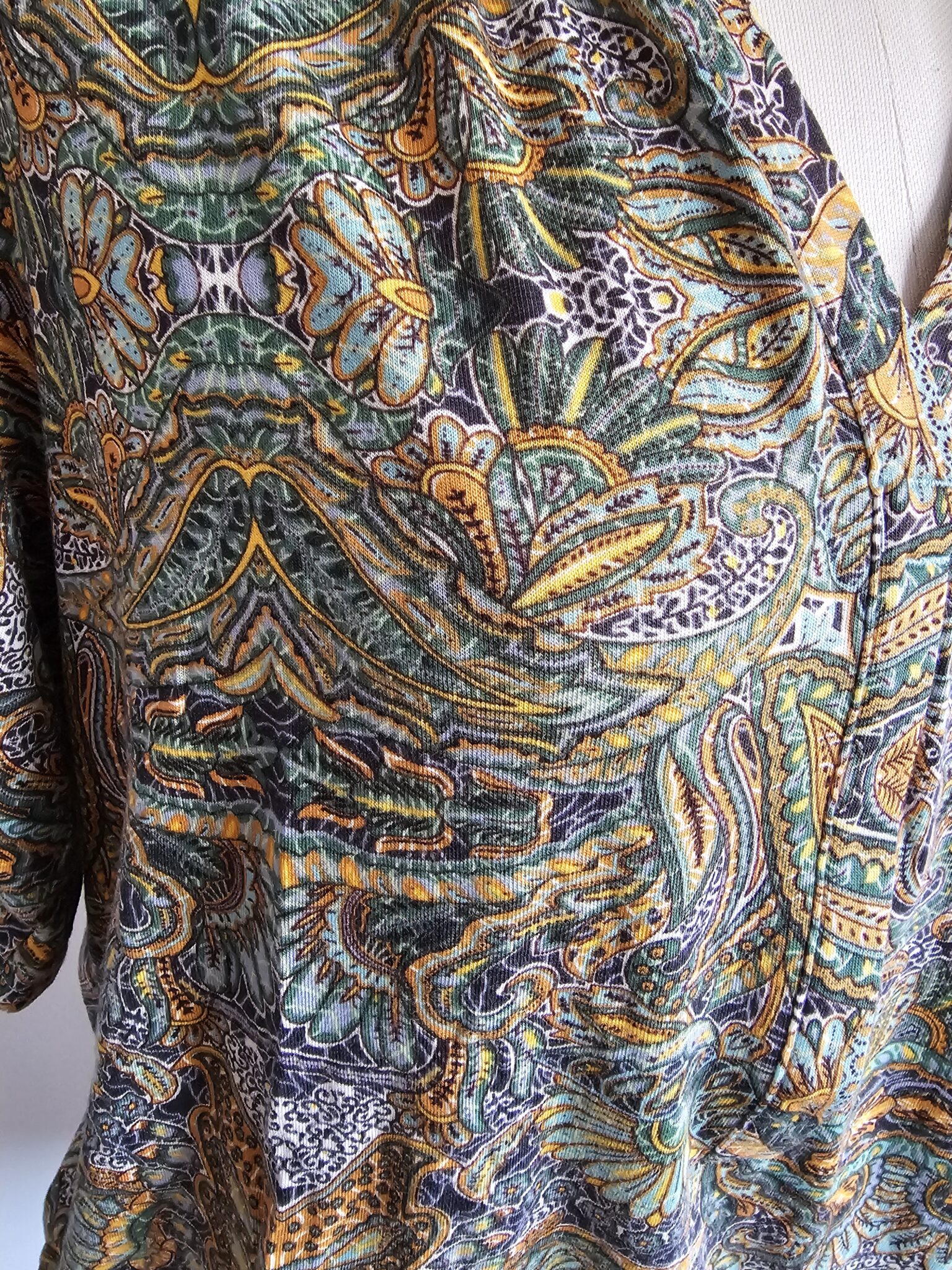 Image for Paisley Top