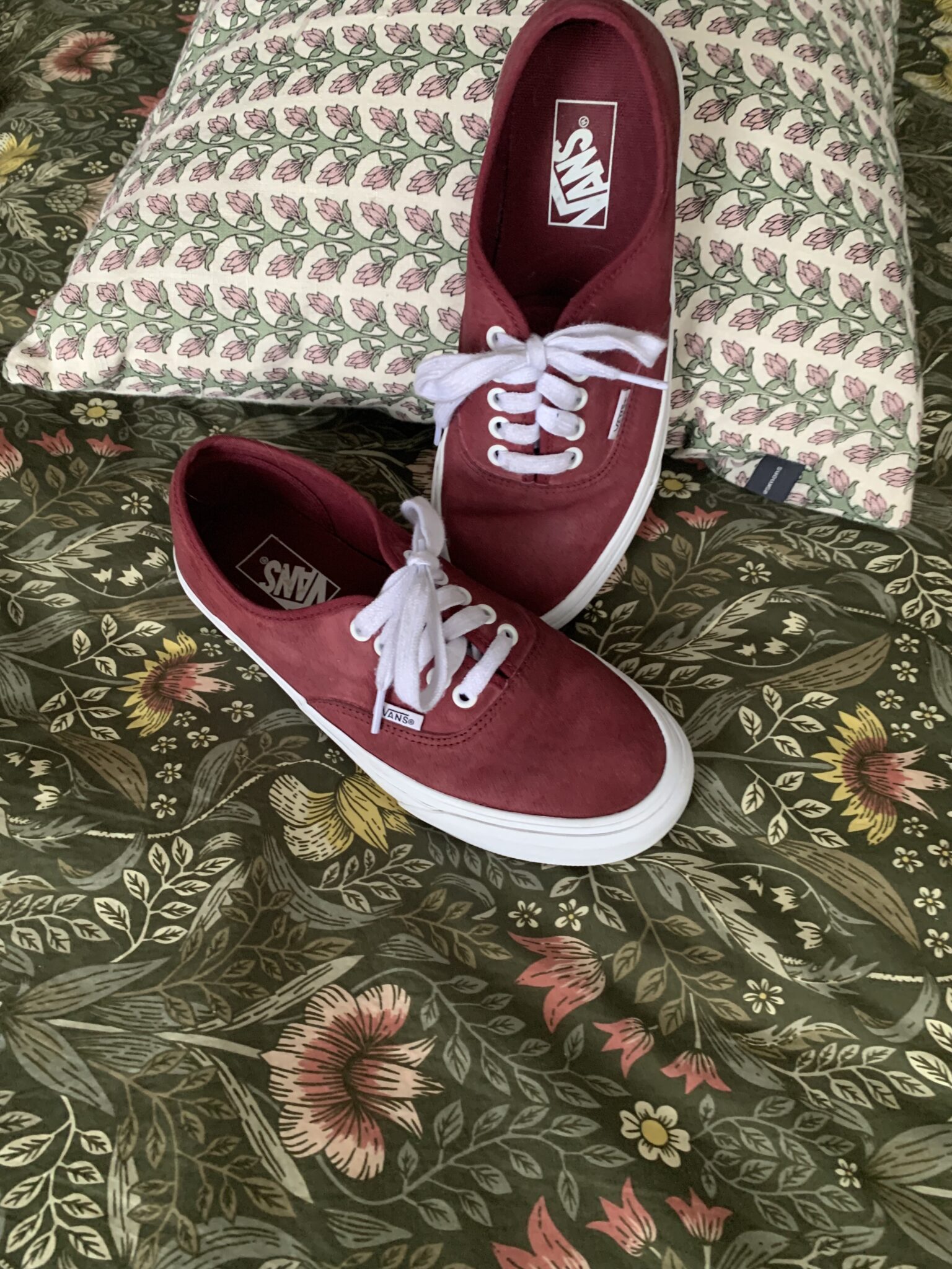 Image for Chaussures Vans en suède