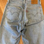 Thumbnail for Levis Wedgie Icon Fit pâle