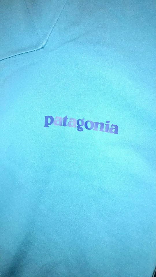 Image for Jacket de Ski Patagonia Homme