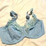 Featured thumbnail for New Primadonna bra