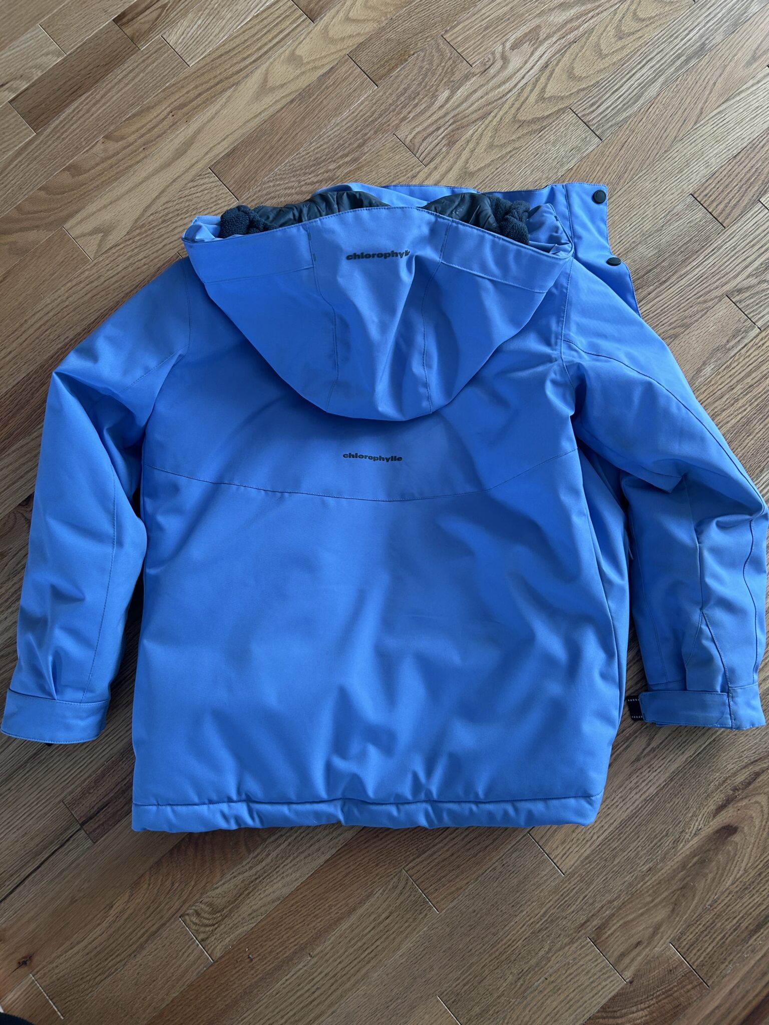 Image for Manteau Chlorophylle ado
