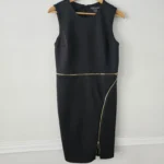 Featured thumbnail for Dress with gold zipper