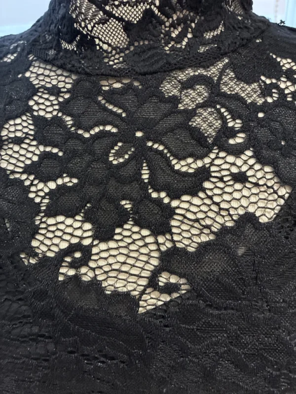 Image for Dentelle