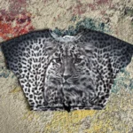 Featured thumbnail for T-shirt 8/10 years