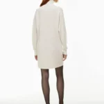Thumbnail for Aritzia Merino wool dress
