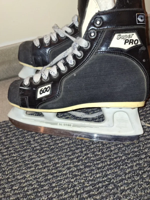 Image for Patins à glisser