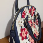 Thumbnail for Aldo bag