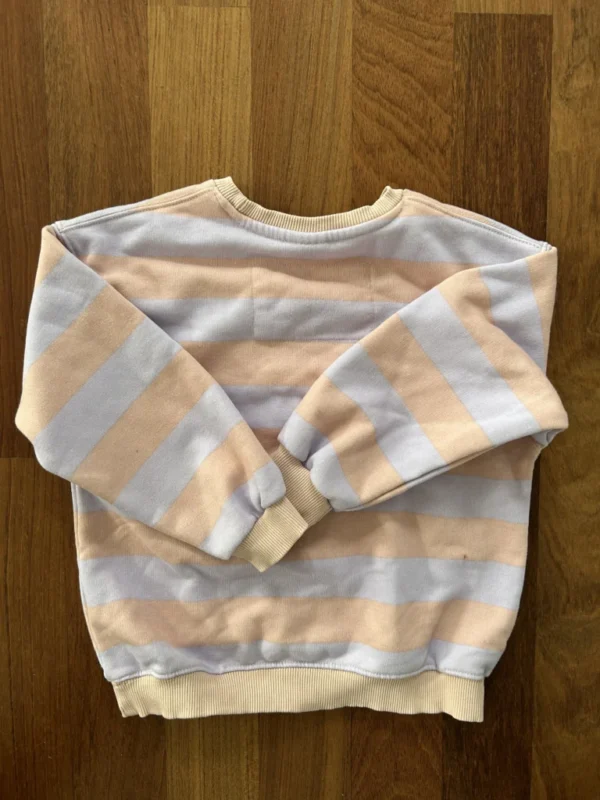 Image for Chandail, Zara, 6T