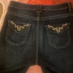 Thumbnail for Y2K bootcut jeans, western