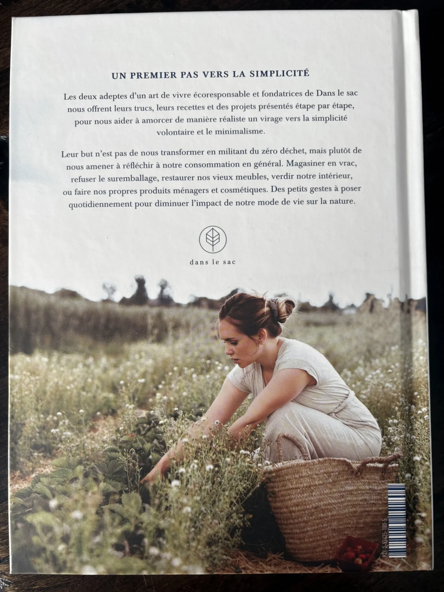 Image for Livre « minimal »