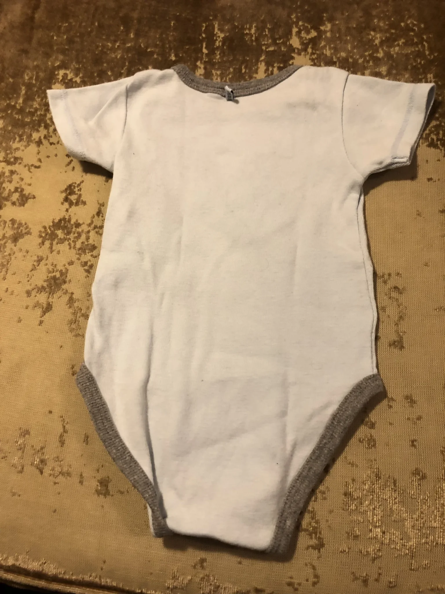 Image for Cache couche dinosaure 🦕 petit lem petit 6 mois