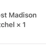 Thumbnail for MZ Wallace Frost Madison Satchel