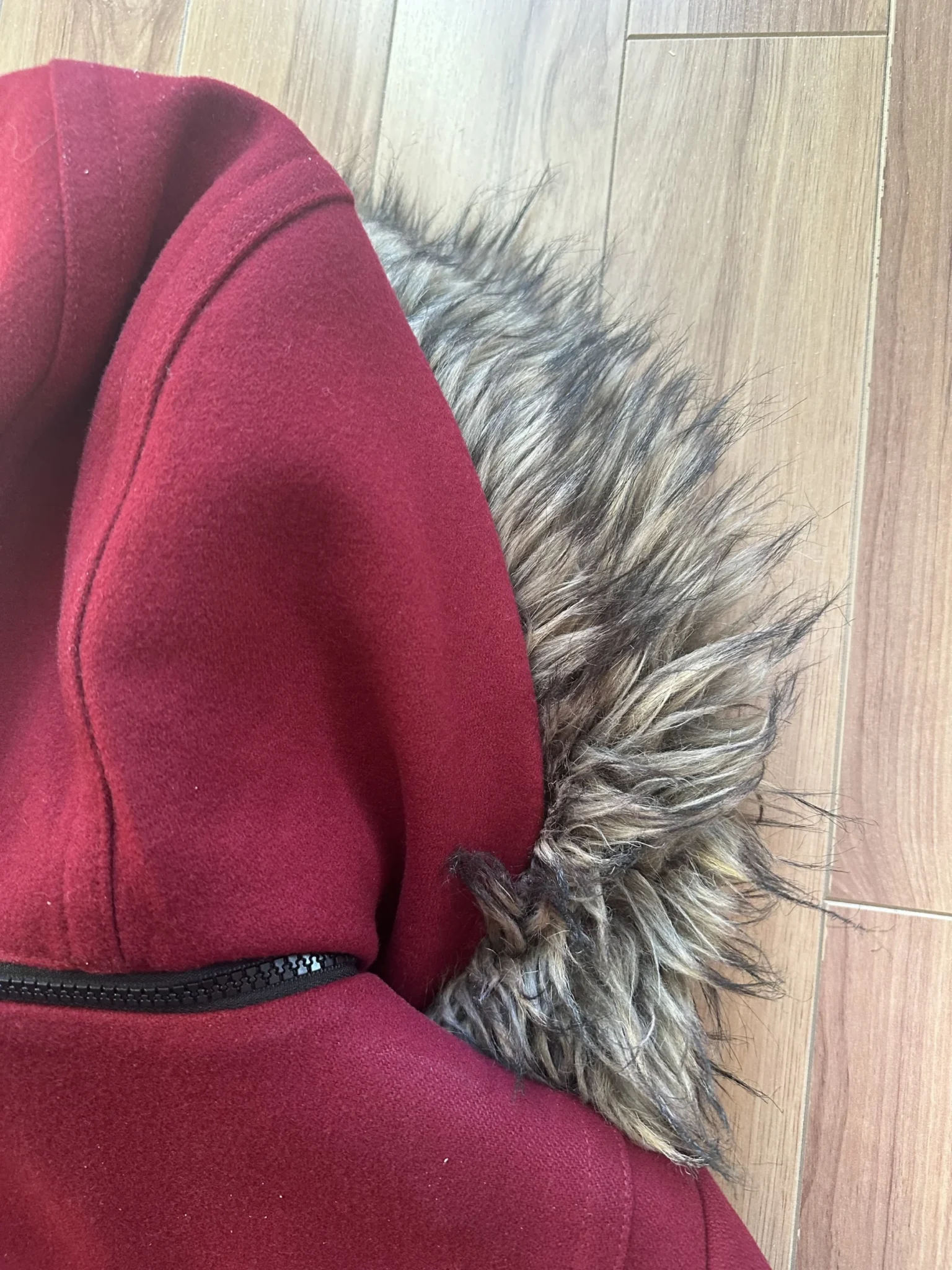 Image for Soia and Kyo Coat XS