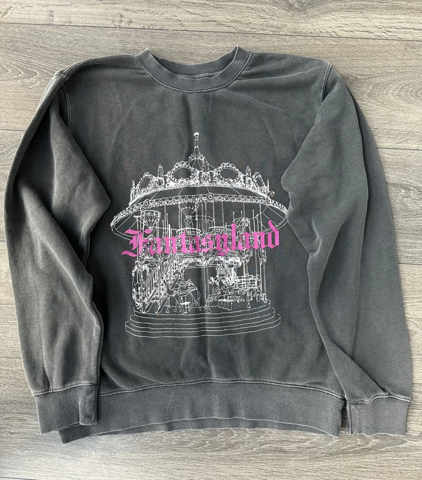 Featured image for Disney Fantasyland Sweater S