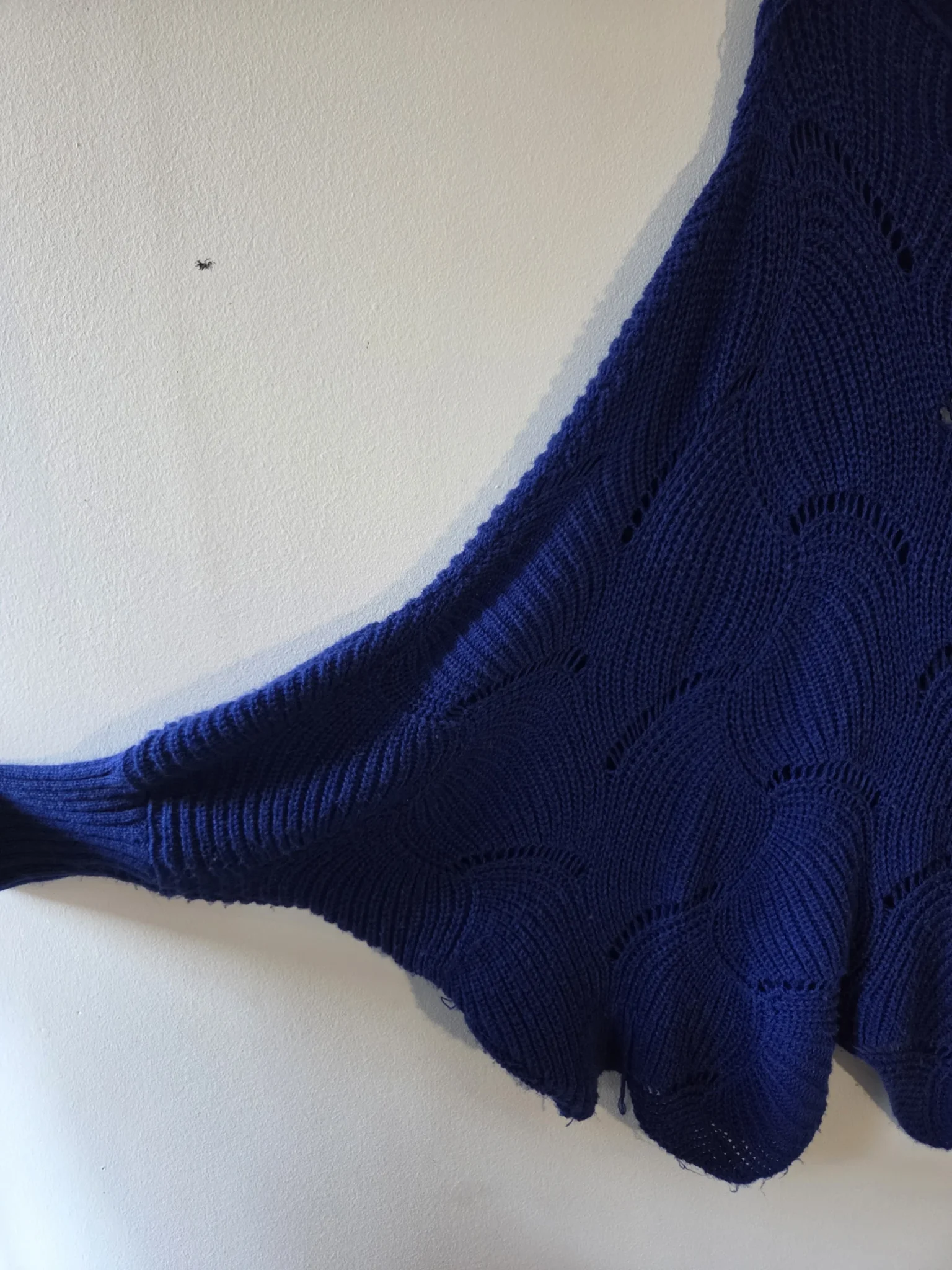 Image for Pull chauve-souris