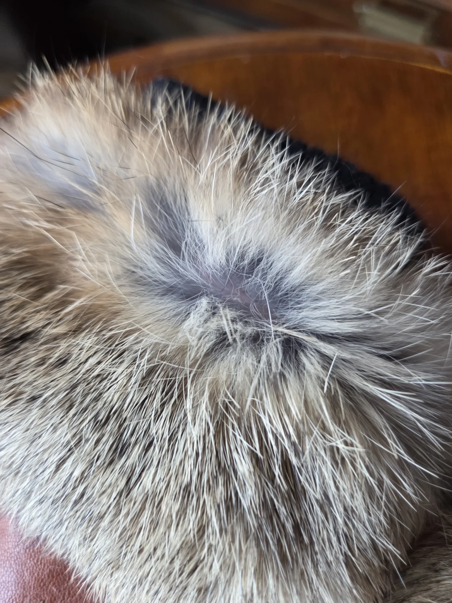 Image for Elegant gloves in tan leather and fur, lined with 3M Thinsulate.