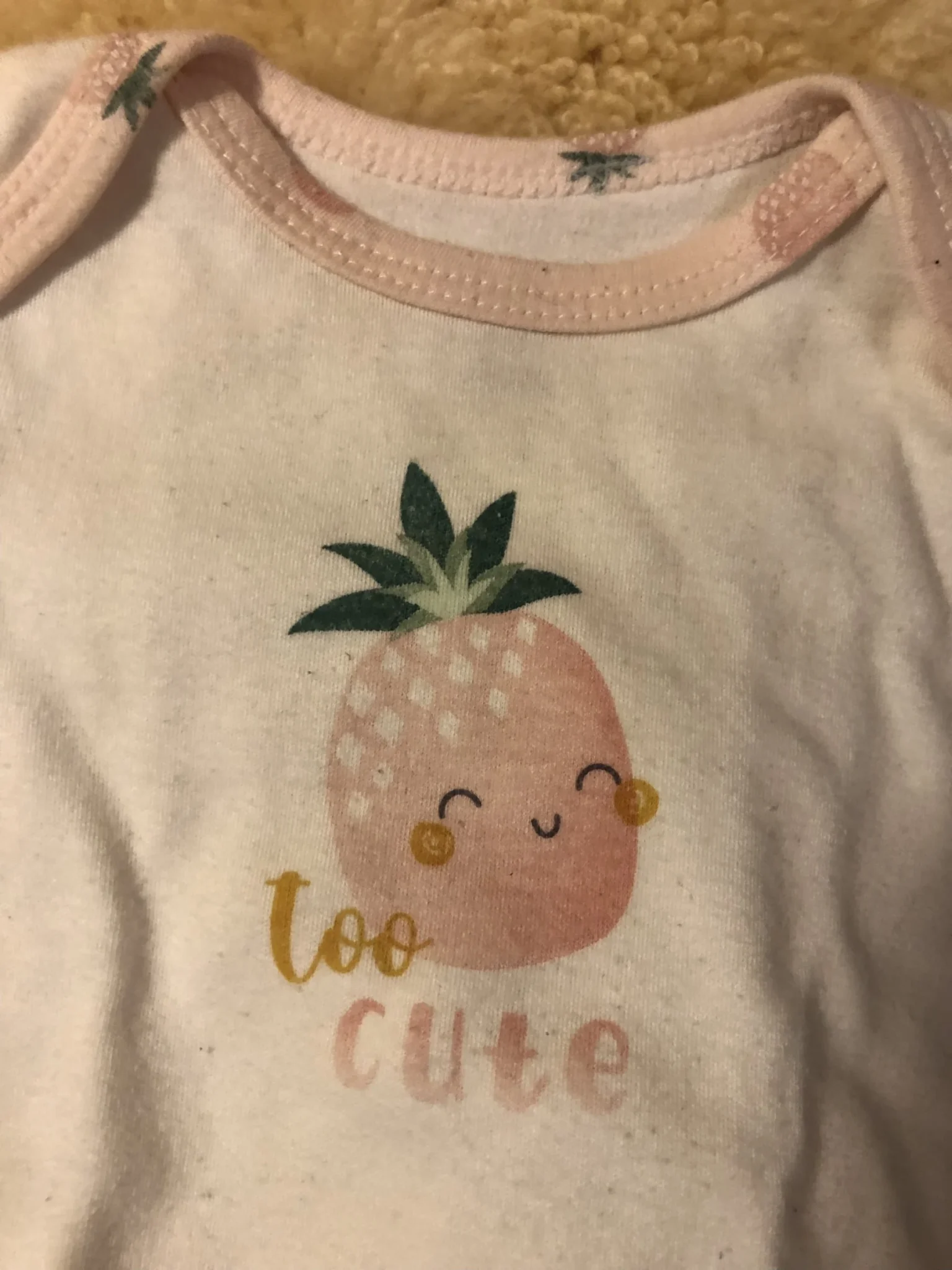 Image for Cache couche ananas 3 mois