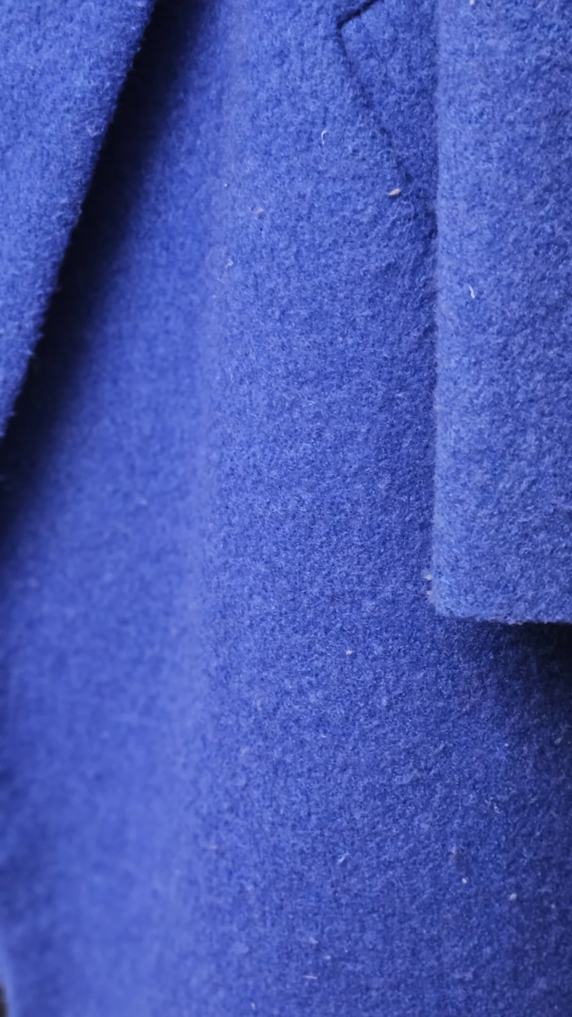 Image for Royal blue coat