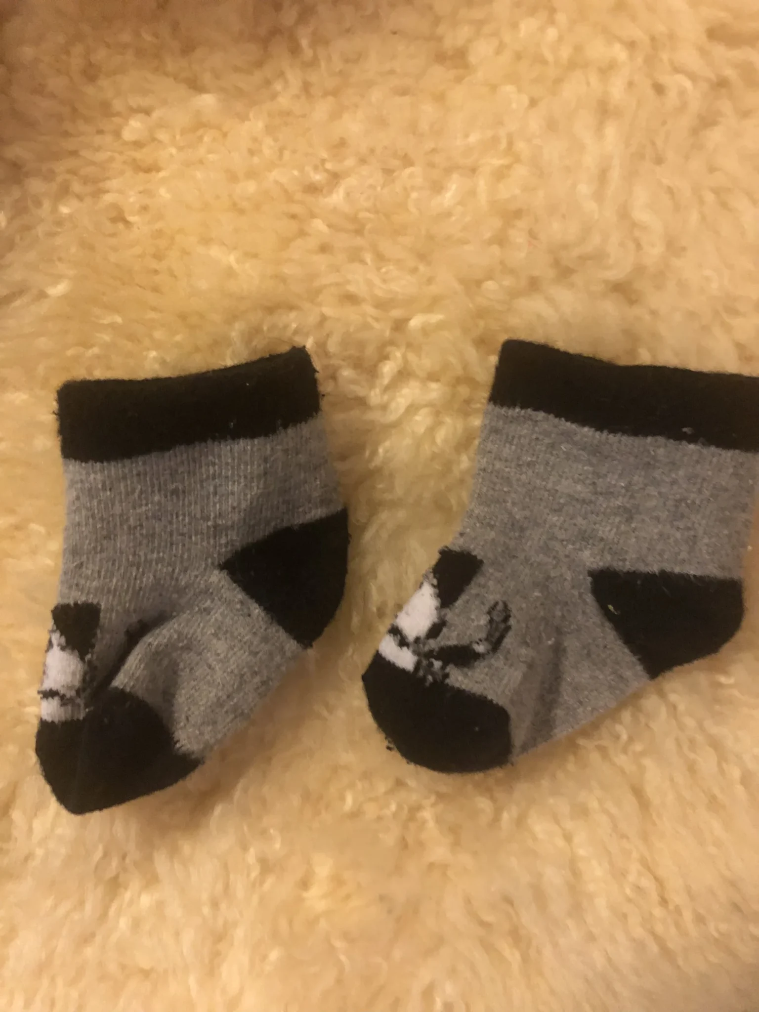 Image for Petit bas bébé naissant unisexe
