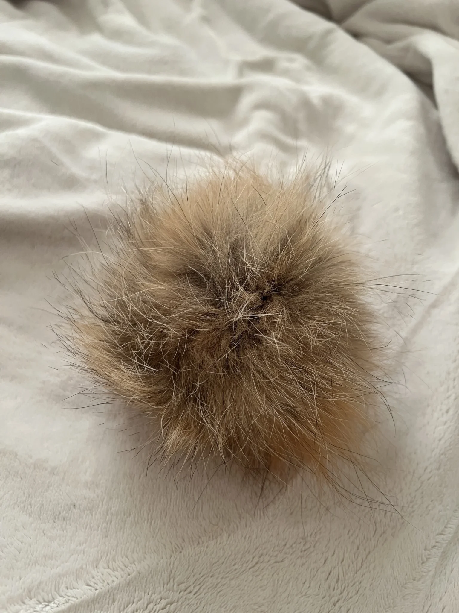 Image for ✨ Removable pom-pom for toque