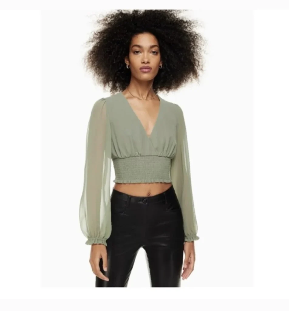 Featured image for Blouse Aritzia Wilfred Wistful