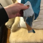 Thumbnail for Sac Dormeuse Belle barboteuse manche longues