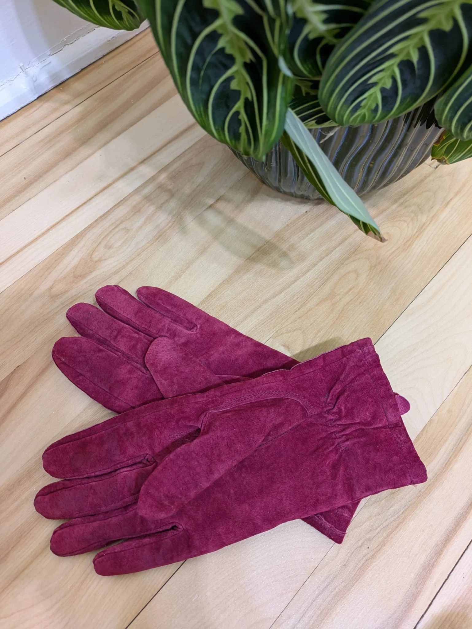 Image for Suede gloves