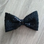 Featured thumbnail for Noeud papillon